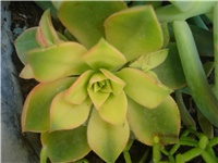 51ab8973-Picture 263.jpg